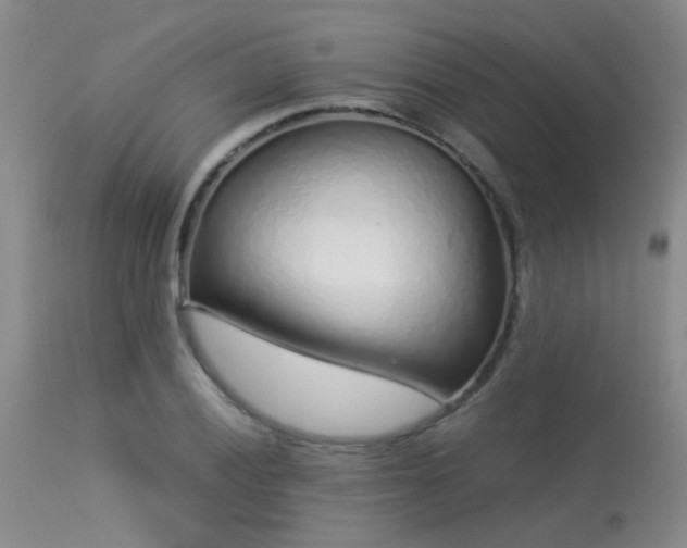 X0000113611028200909251137