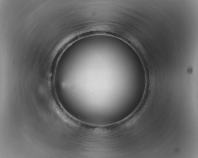 X0000113611029200909251137