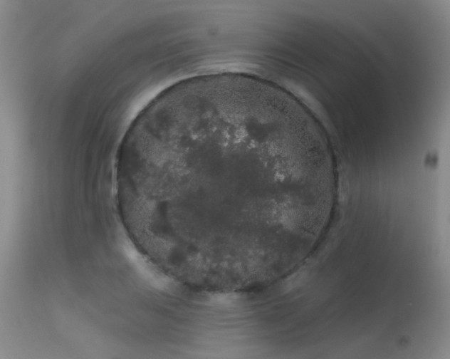 X0000113611031200909251137