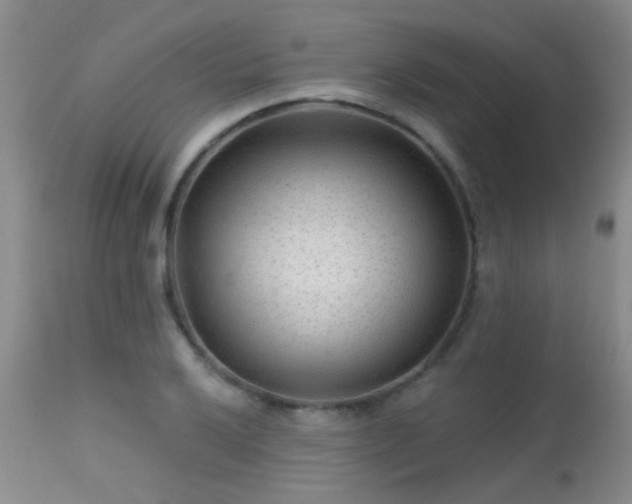 X0000113611032200909251137