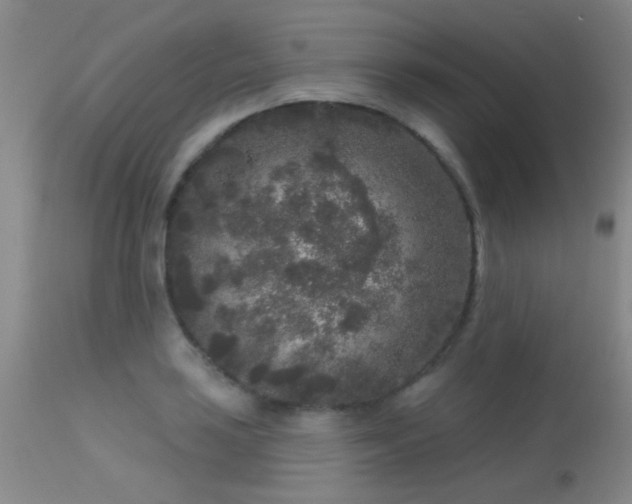 X0000113611035200909251137