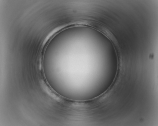 X0000113611036200909251137