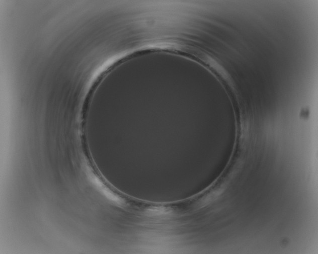 X0000113611037200909251137