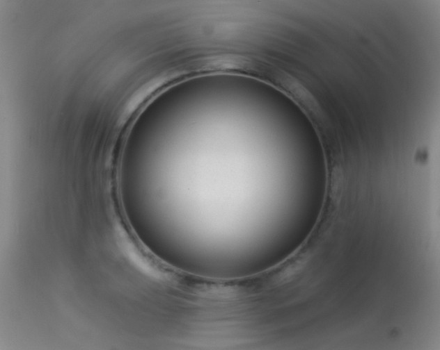 X0000113611039200909251137