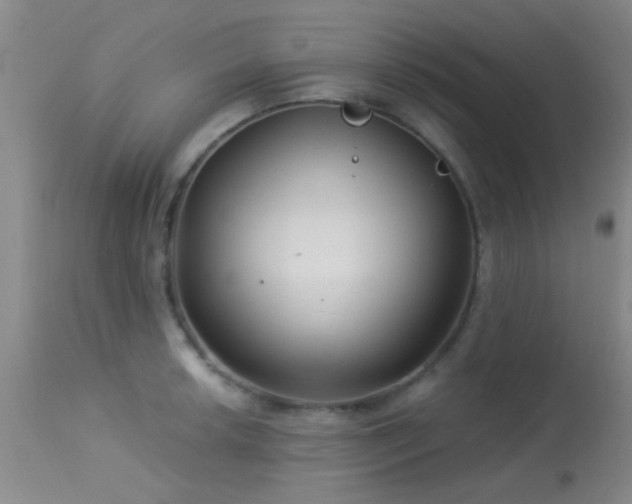 X0000113611042200909251137