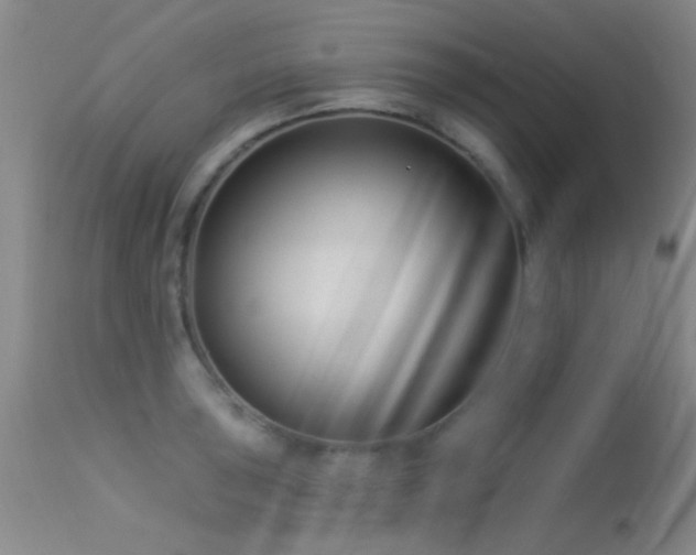 X0000113611043200909251137