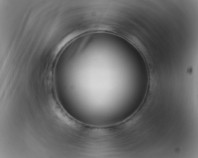 X0000113611044200909251138