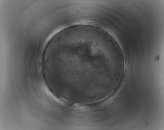 X0000113611045200909251138