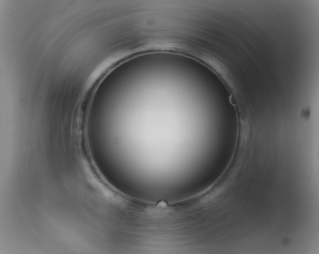 X0000113611046200909251138