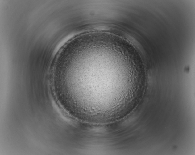 X0000113611047200909251138