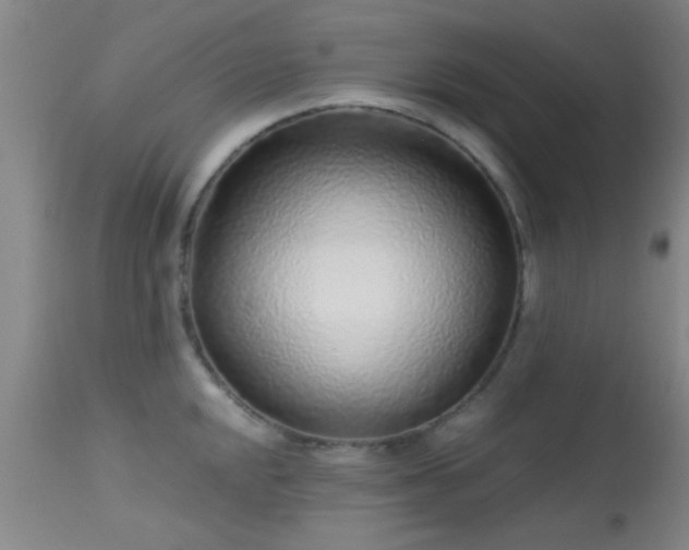 X0000113611048200909251138