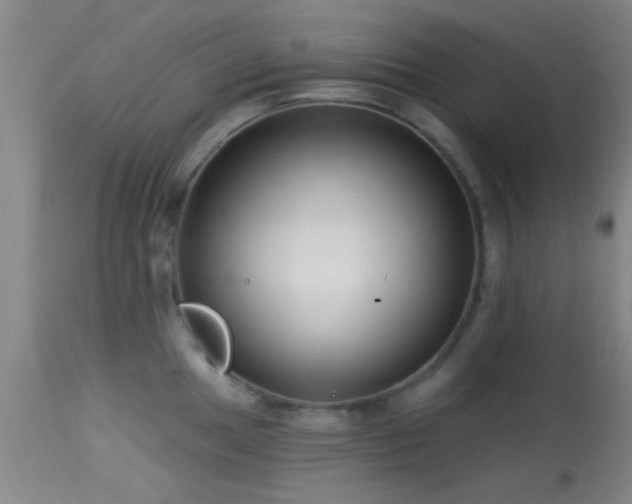 X0000113611049200909251138