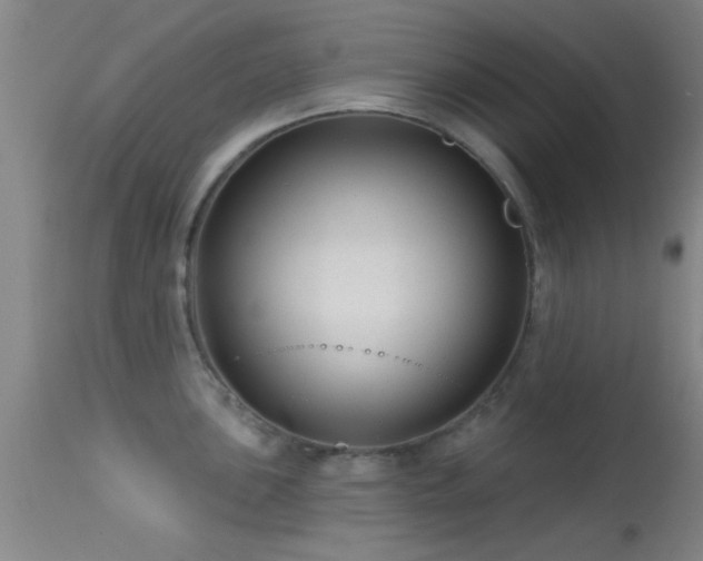 X0000113611051200909251138