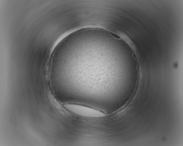 X0000113611052200909251138