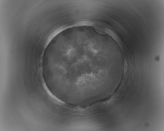 X0000113611055200909251138