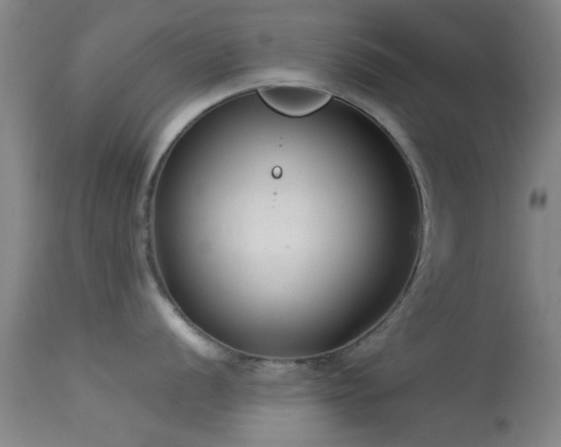 X0000113611056200909251138