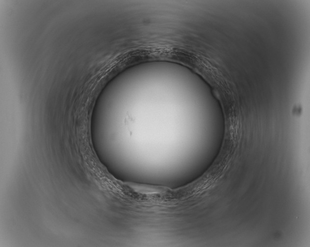 X0000113611057200909251137