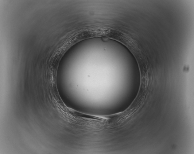 X0000113611058200909251137