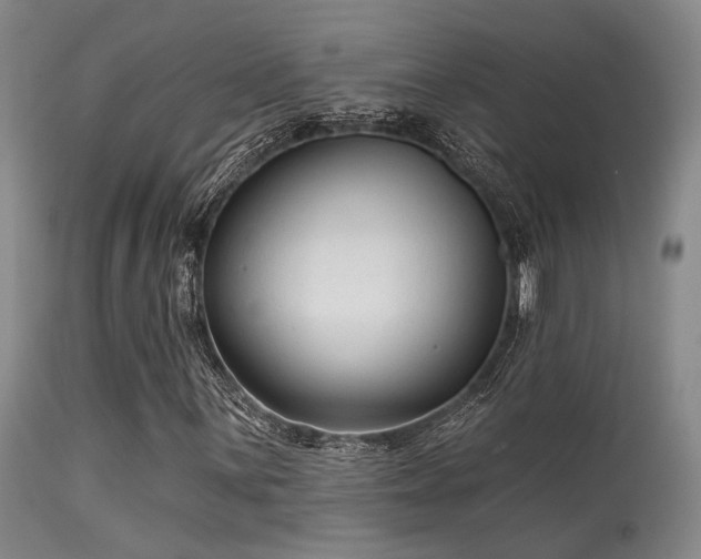 X0000113611059200909251137