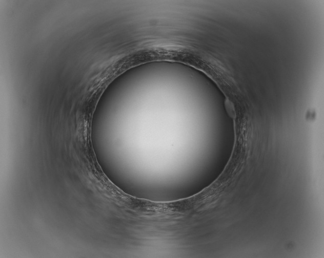 X0000113611061200909251137