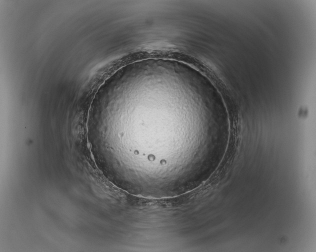 X0000113611063200909251137