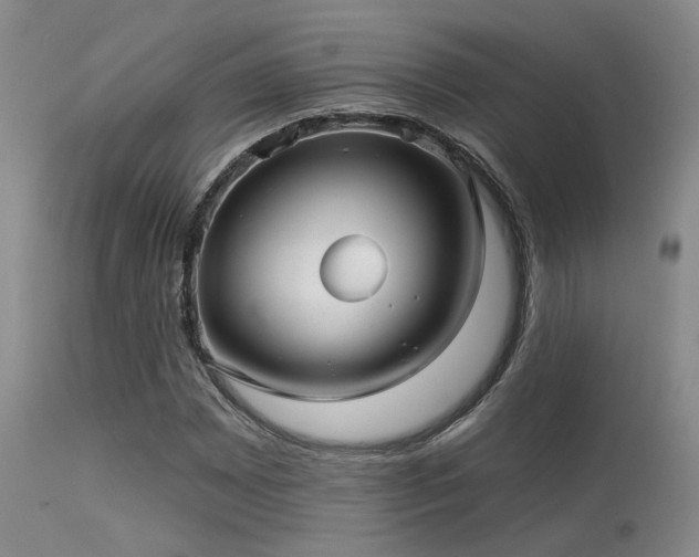 X0000113611065200909251137