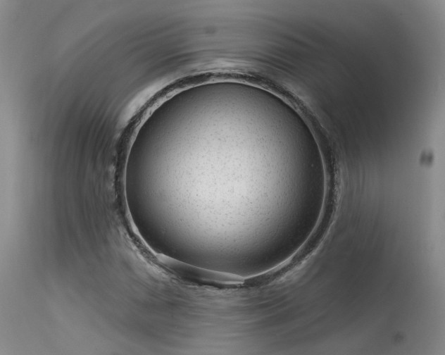 X0000113611066200909251137