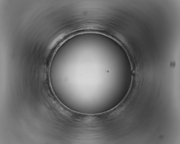 X0000113611067200909251137