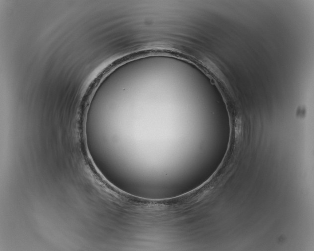 X0000113611068200909251137