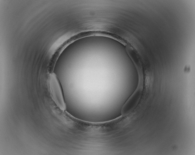 X0000113611069200909251137