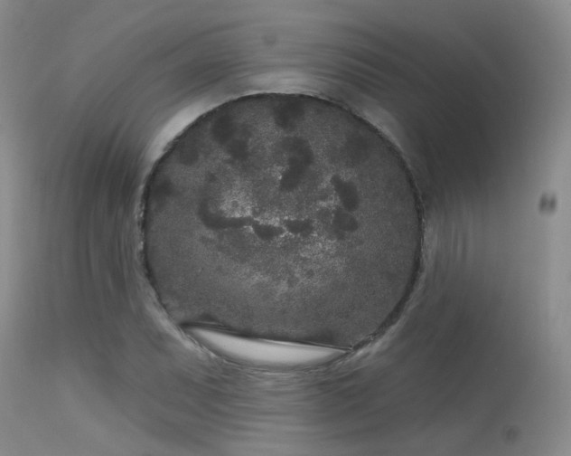 X0000113611071200909251137