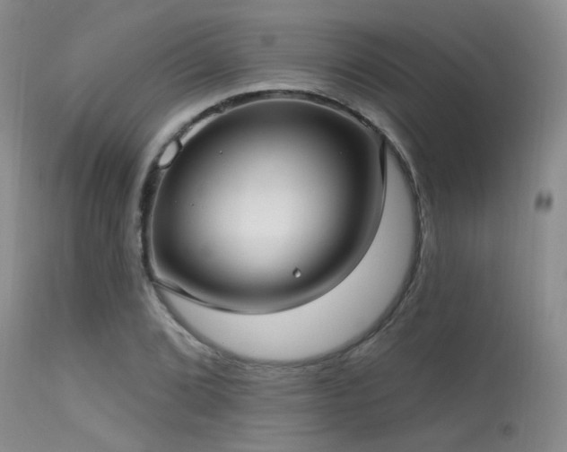 X0000113611072200909251137