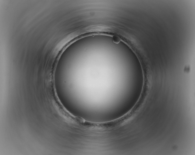 X0000113611073200909251137