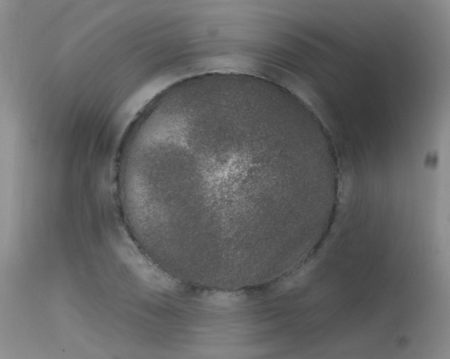 X0000113611074200909251137