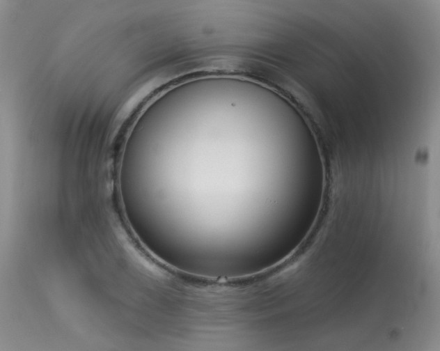 X0000113611075200909251137