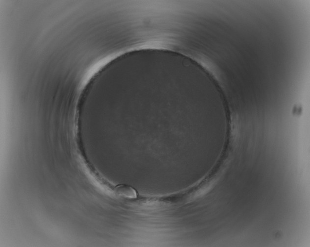 X0000113611077200909251137