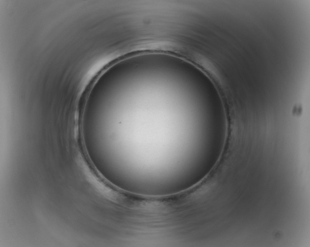 X0000113611079200909251137