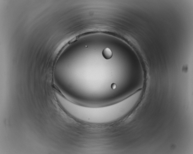 X0000113611081200909251137