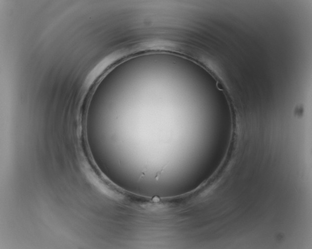 X0000113611082200909251137