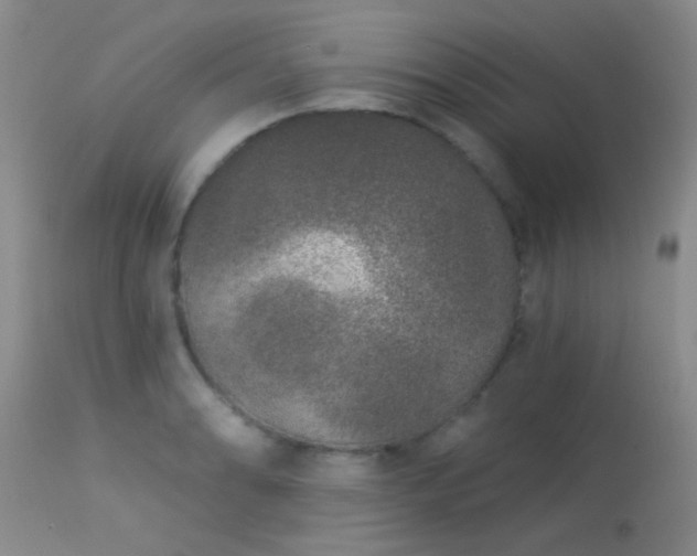 X0000113611086200909251137