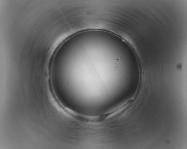 X0000113611088200909251137