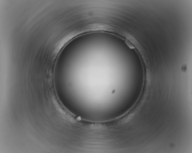 X0000113611089200909251137