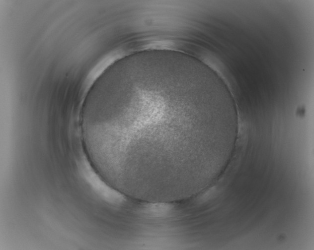 X0000113611090200909251137