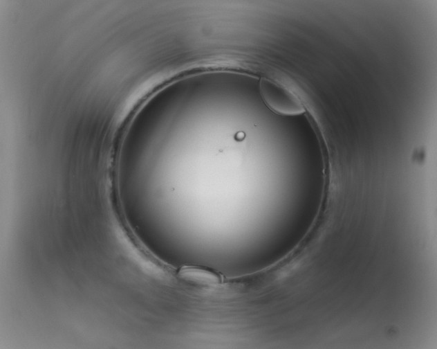 X0000113611093200909251137