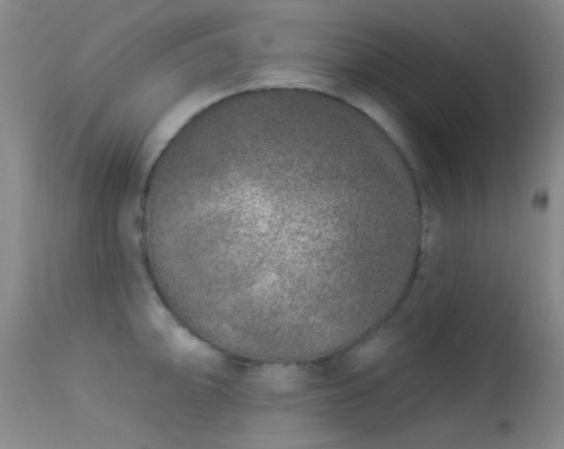 X0000113611094200909251137