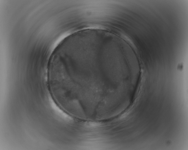 X0000113611095200909251136