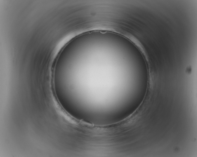 X0000113611096200909251136