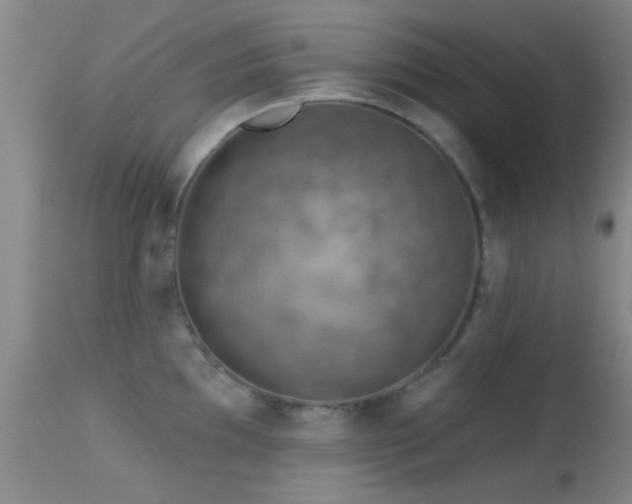 X0000113611097200909251136