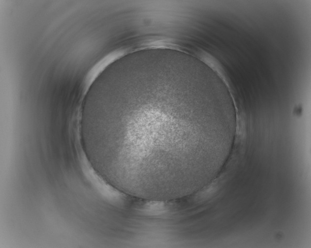 X0000113611098200909251136