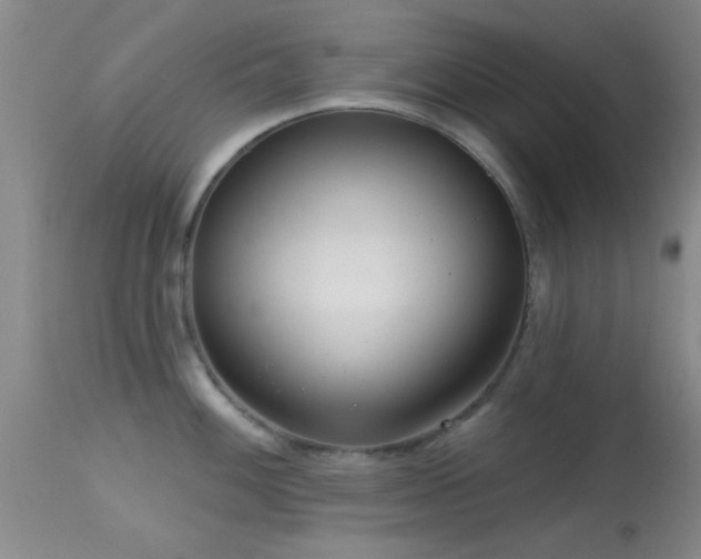 X0000113611100200909251136